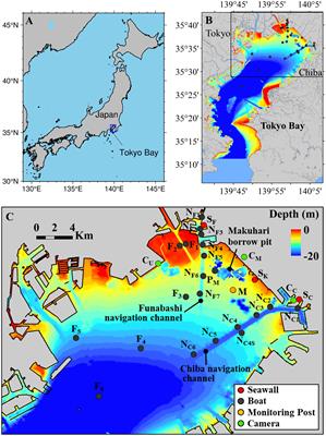 A practical pCO2 estimation and carbonate dynamics at an event of hypoxic water upwelling in Tokyo Bay